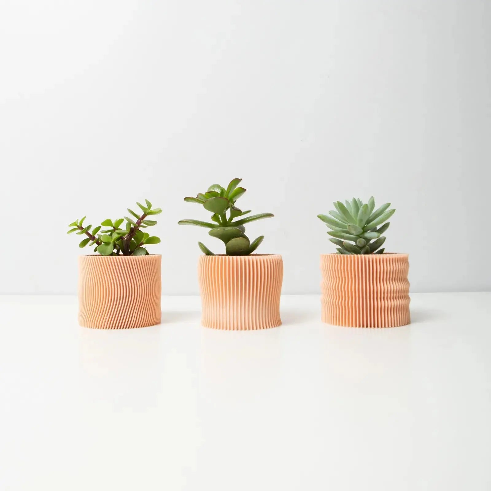 Conjunto 3 Vasos Desert para Suculentas