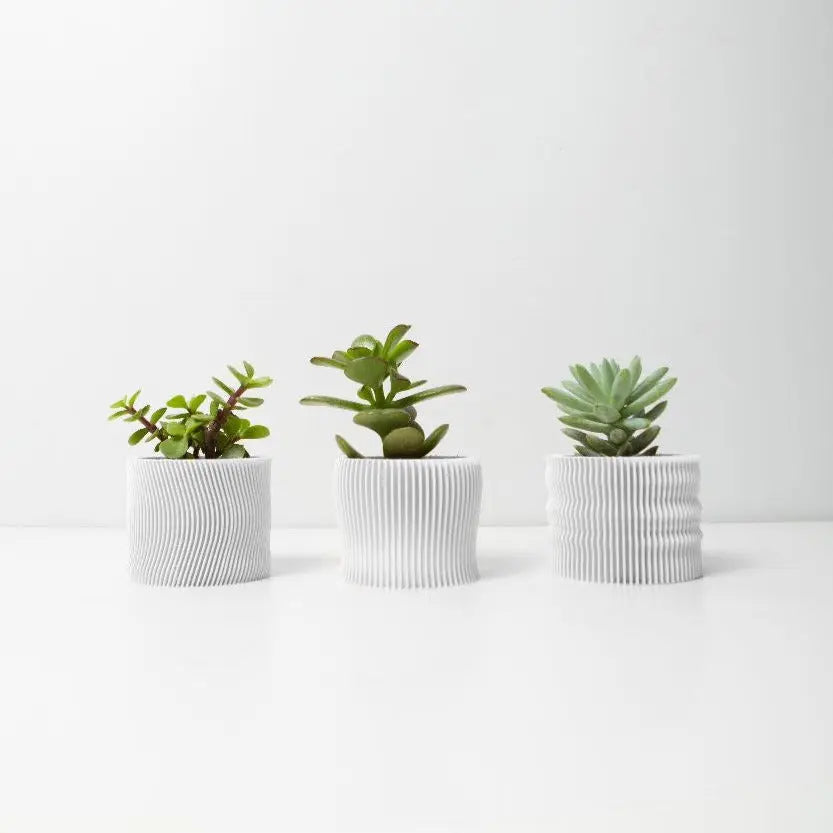 Conjunto 3 Vasos Desert para Suculentas