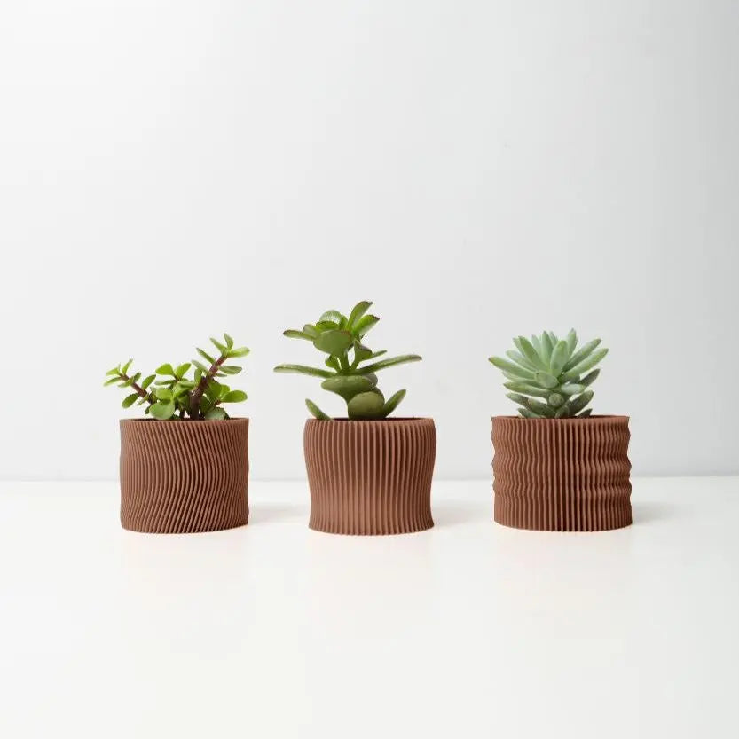 Conjunto 3 Vasos Desert para Suculentas