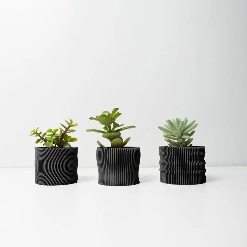 Conjunto 3 Vasos Desert para Suculentas