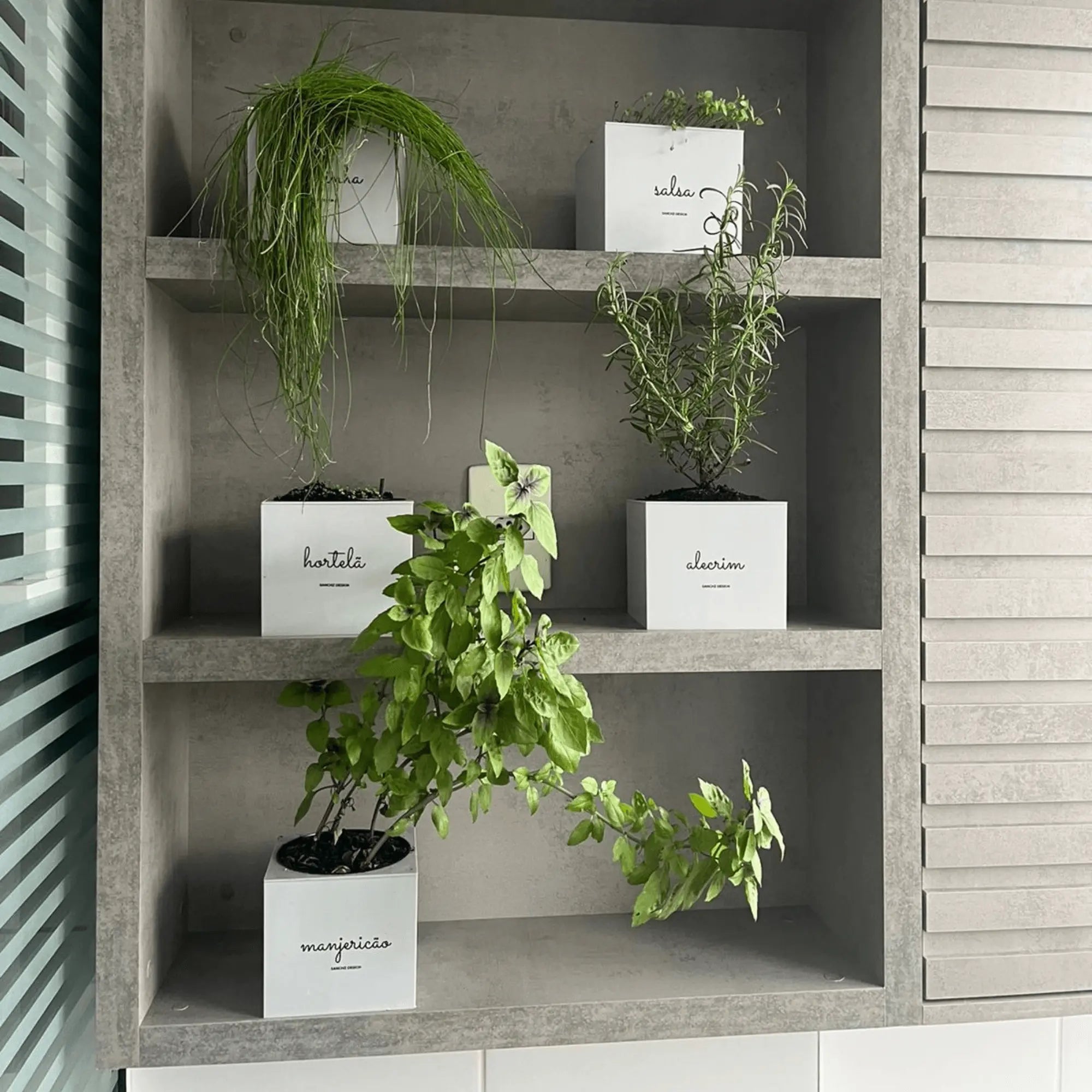 Kit Minha Horta Urbana Autoirrigável Sanchz Design