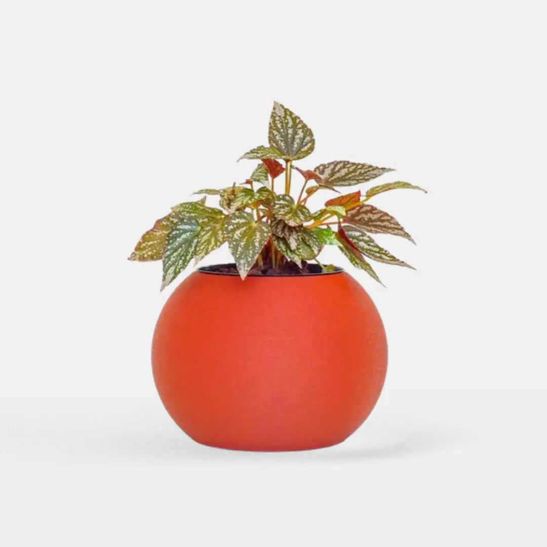 Vaso Decorativo Autoirrigável Clay para Sala Redondo