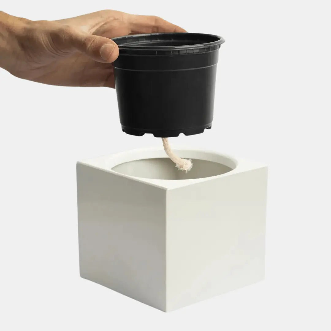 Vaso Quadrado Autoirrigável 10cm x 11cm