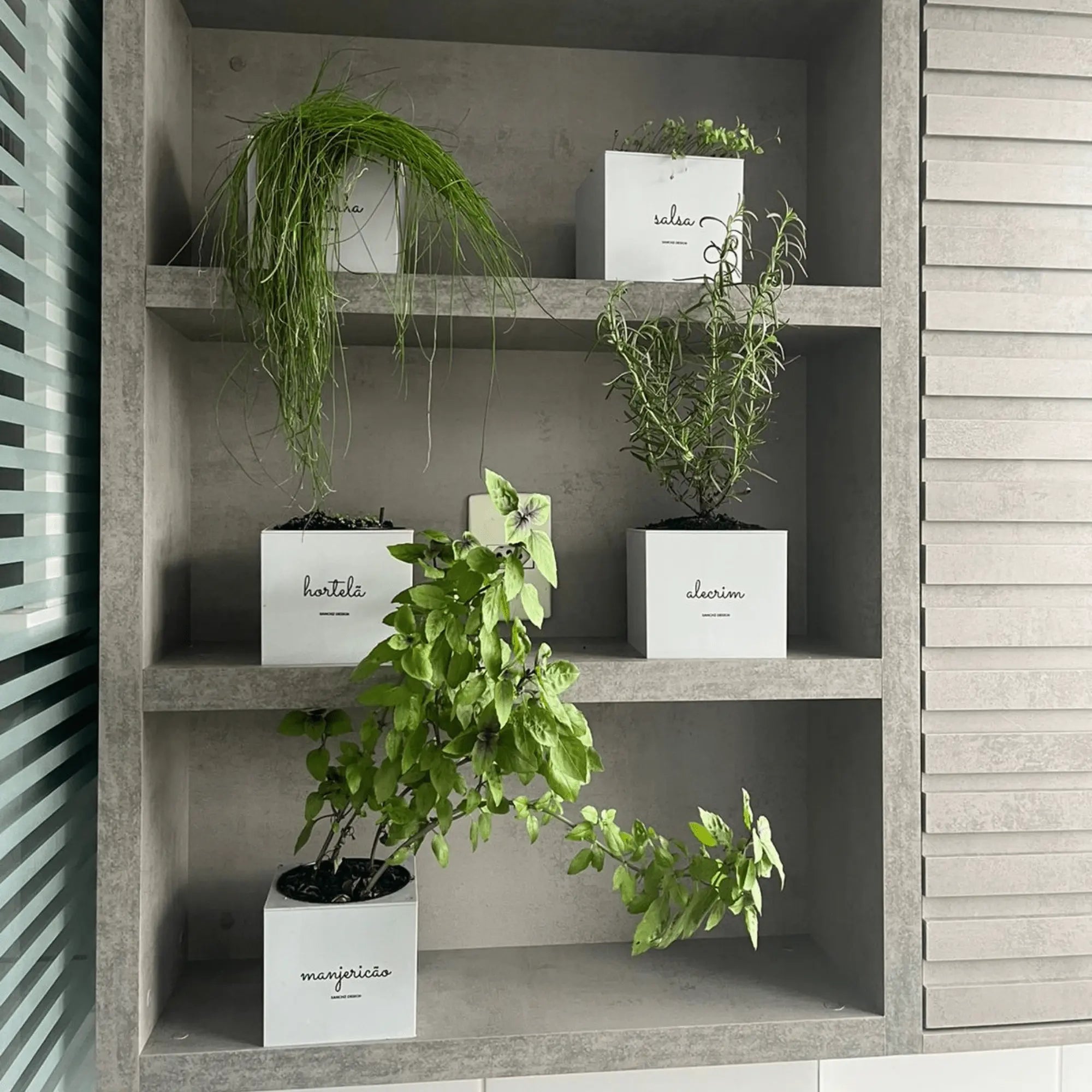 Vaso Quadrado Minha Horta Autoirrigável Personalizado