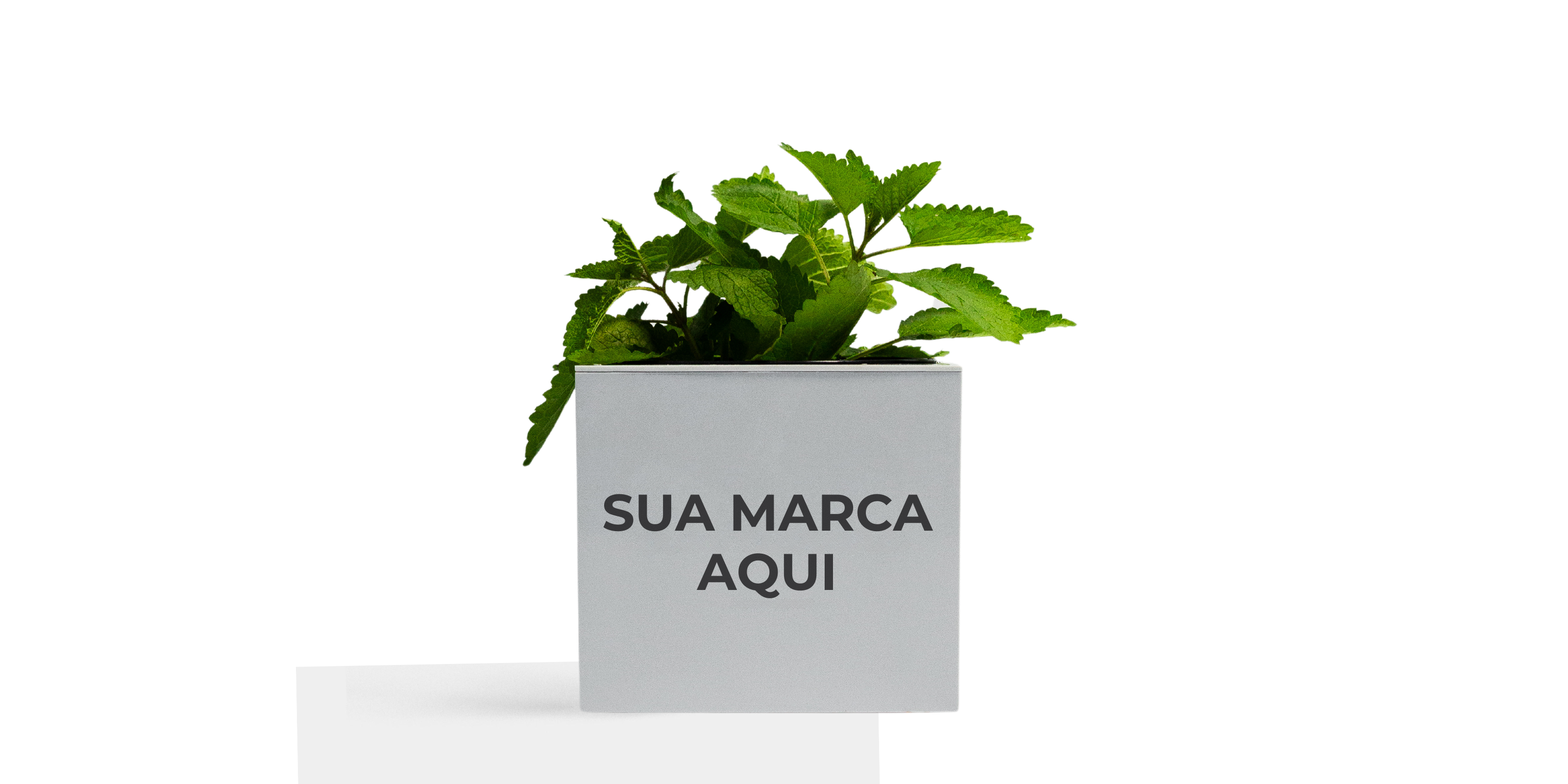 brinde personalizado vaso autoirrigavel