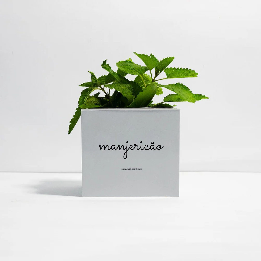 horta urbana manjericao