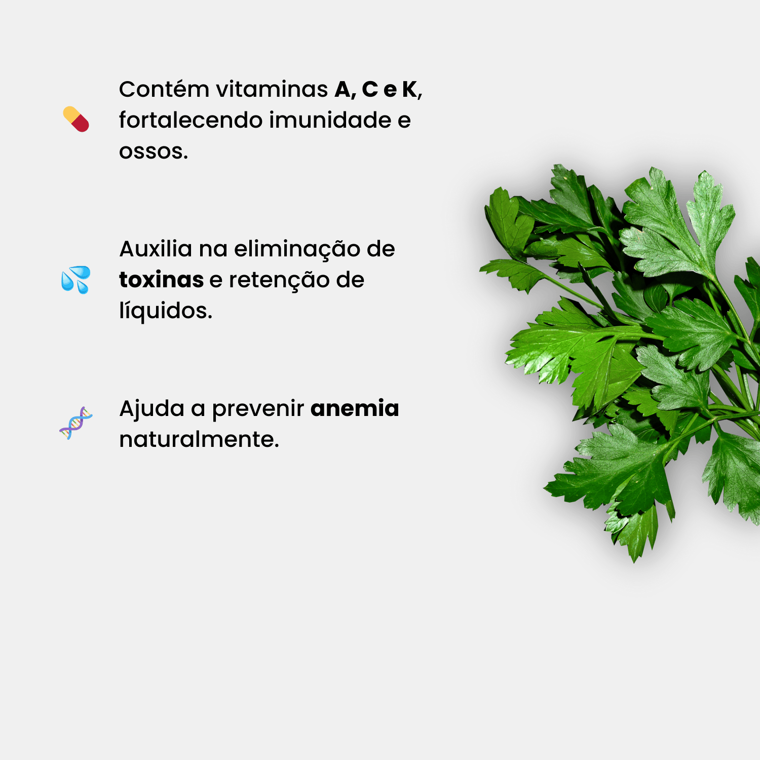 salsa informativos