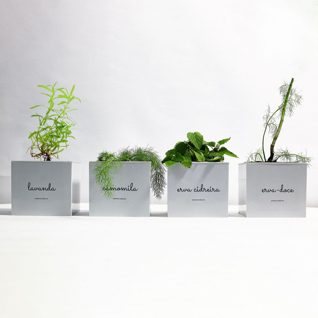 Kit Horta Chá Acalmar