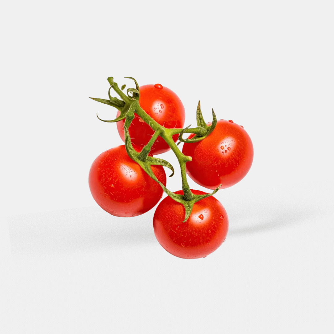 Kit Plantio Coentro Tomate-cereja | Sanchz Design