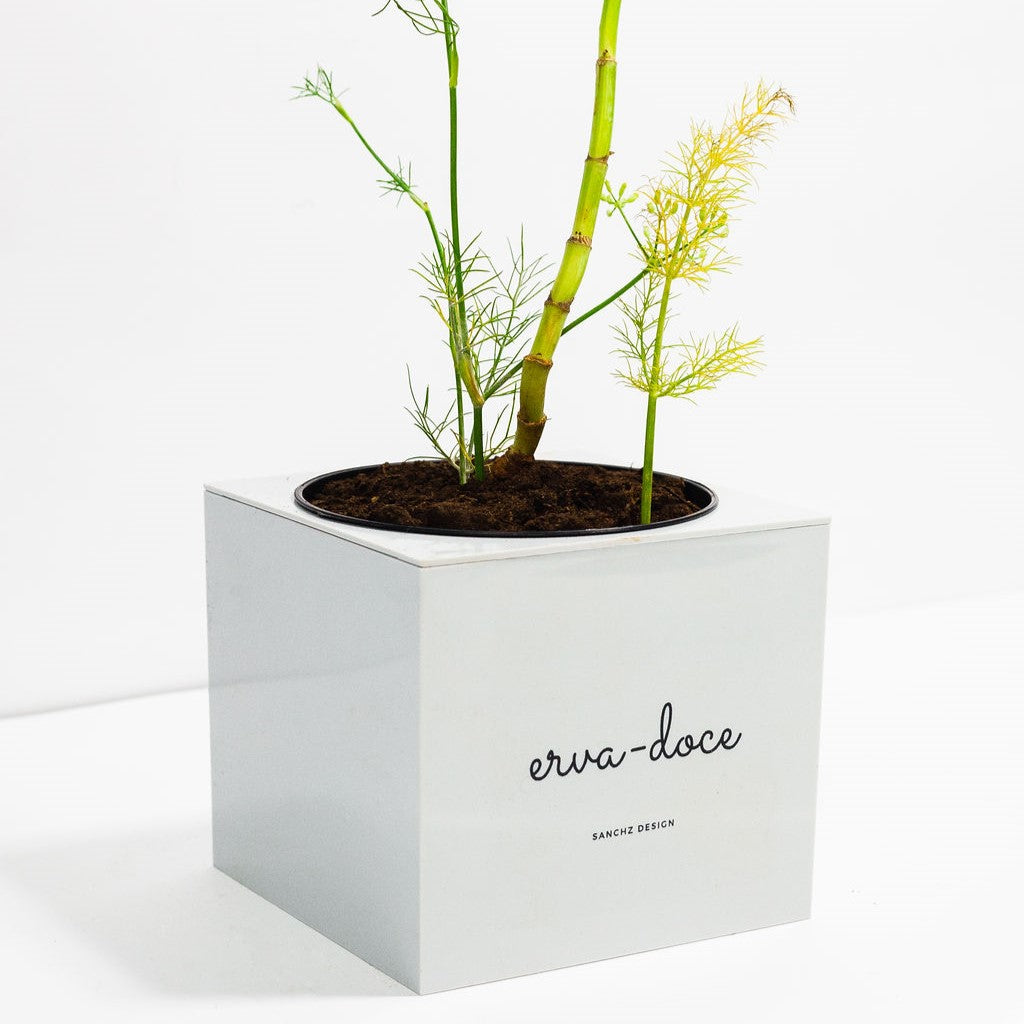 vaso-cha-de-erva-doce