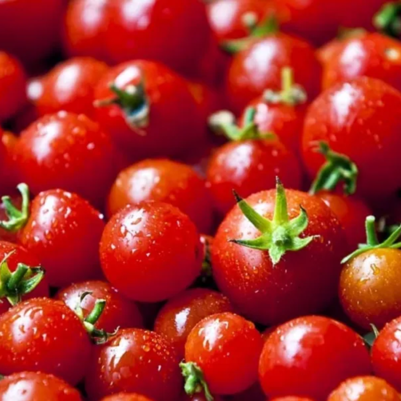 Como Plantar Tomate Cereja: Guia Completo Passo a Passo