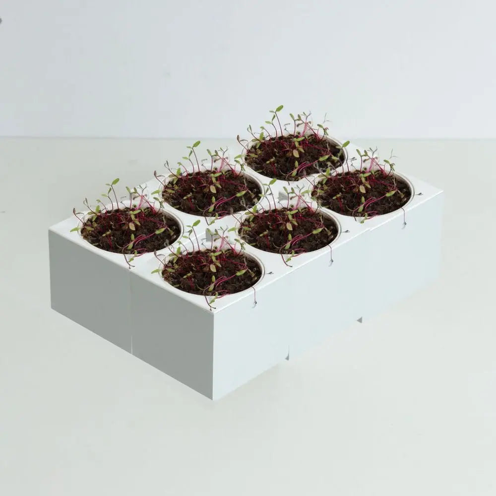Kit Horta Inteligente Microverde